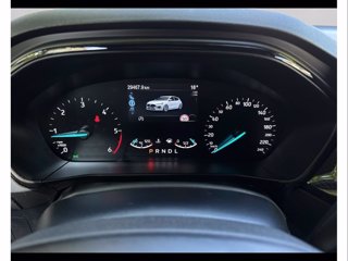 FORD Focus 1.5 ecoblue st-line 115cv auto