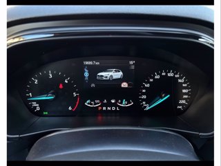 FORD Focus 1.5 ecoblue st-line 115cv auto