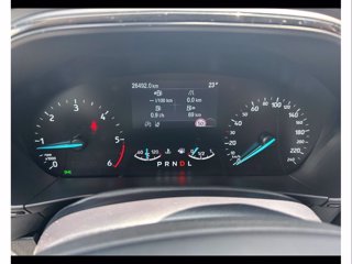 FORD Focus 1.5 ecoblue st-line 115cv auto