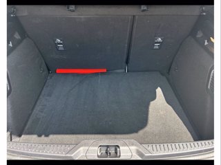 FORD Focus 1.5 ecoblue st-line 115cv auto