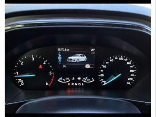 FORD Focus 1.5 ecoblue st-line 115cv auto