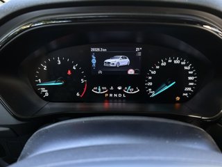 FORD Focus 1.5 ecoblue st-line 115cv auto