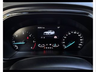 FORD Focus 1.5 ecoblue st-line 115cv auto