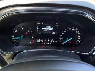 FORD Focus 1.5 ecoblue st-line 115cv auto