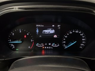 FORD Focus 1.5 ecoblue st-line 115cv auto