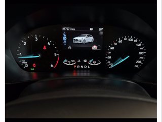 FORD Focus 1.5 ecoblue st-line 115cv auto