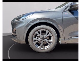FORD Kuga 2.0 ecoblue st-line 2wd 120cv auto