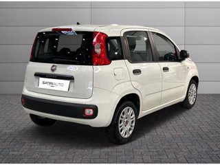 FIAT Panda 1.2 easy s&s 69cv my19