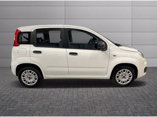 FIAT Panda 1.2 easy s&s 69cv my19