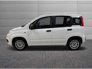 FIAT Panda 1.2 easy s&s 69cv my19