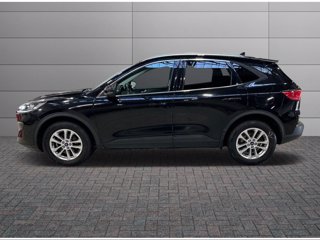 FORD Kuga 1.5 tdci titanium s&s 2wd 120cv my18