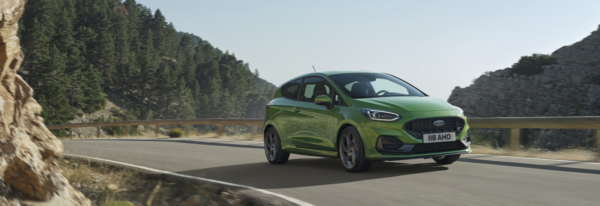 Fiesta ST_panoramic