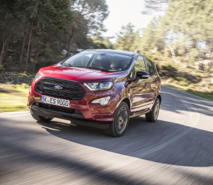 Ecosport Ruby Red