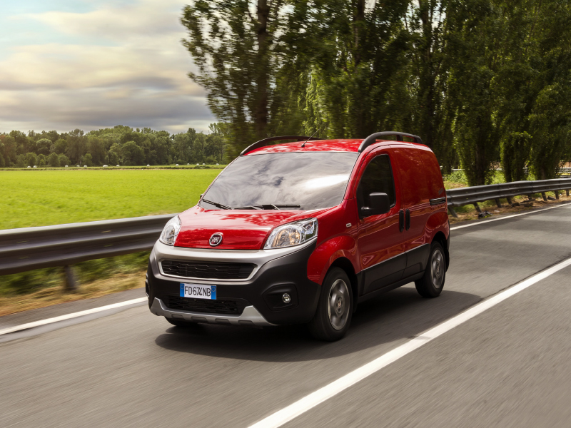 Fiorino